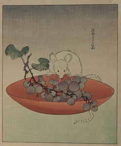 Image description is not available for S1970.146